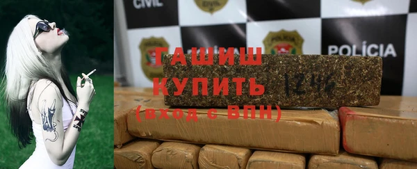 сатива Новозыбков