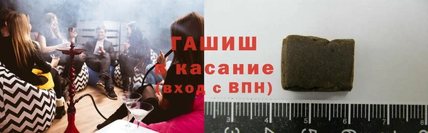 сатива Новозыбков