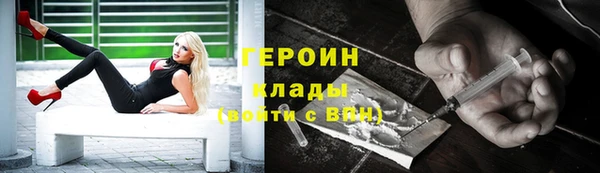 сатива Новозыбков