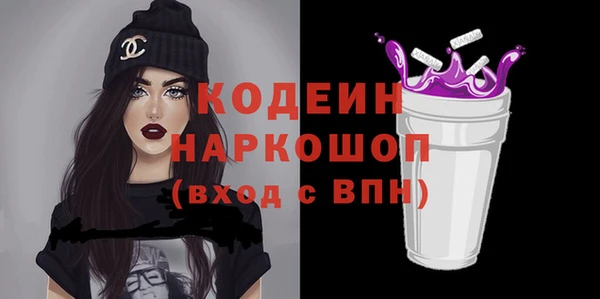 сатива Новозыбков