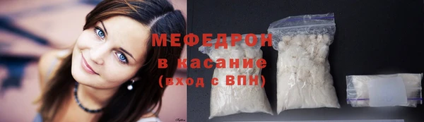 сатива Новозыбков