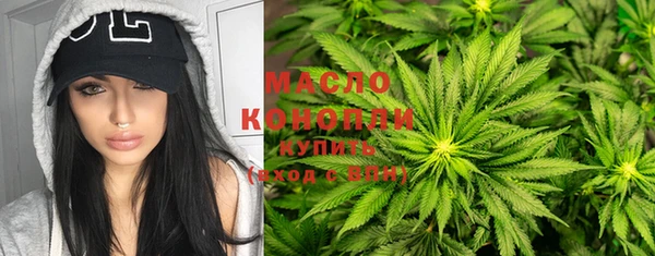 сатива Новозыбков