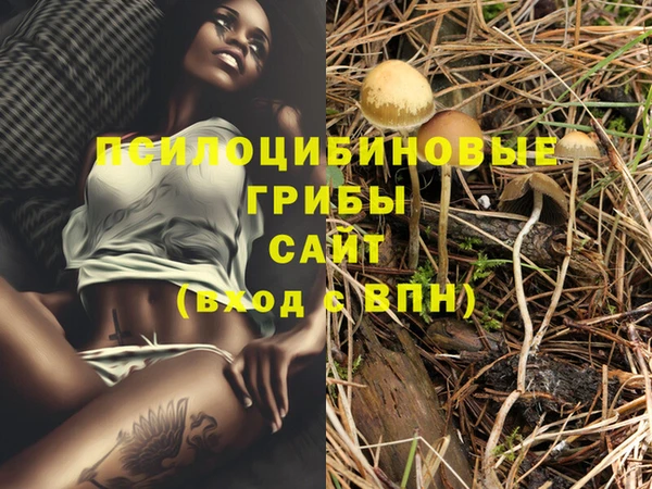 стафф Новодвинск