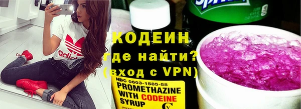 сатива Новозыбков