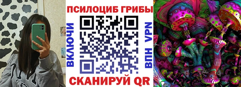 mega маркетплейс  цены   Сусуман  Псилоцибиновые грибы прущие грибы 
